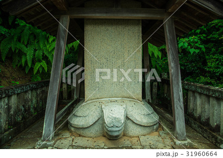 愛知県額田郡幸田町本光寺の願掛け亀 愛知県額田郡幸田町本光寺の願掛け亀 31960664