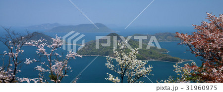 紫雲出山より粟島（香川県三豊市紫雲出山） 31960975