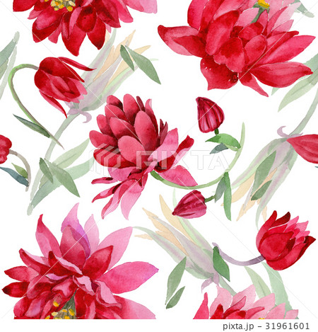 Wildflower Aquilegia flower in a watercolor style Wildflower Aquilegia flower in a watercolor style 31961601