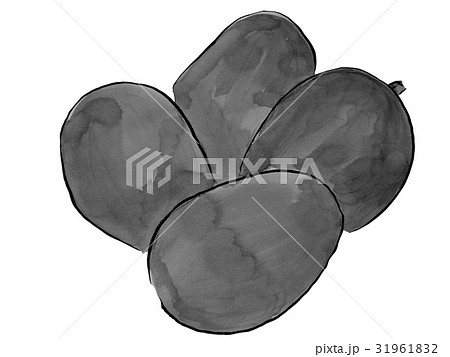 果物 マンゴー 水墨画のイラスト素材