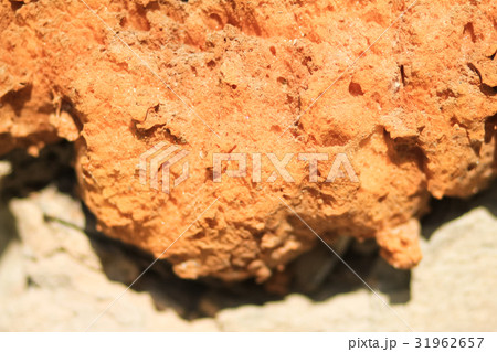 Polyurethane foam withered Polyurethane foam withered 31962657