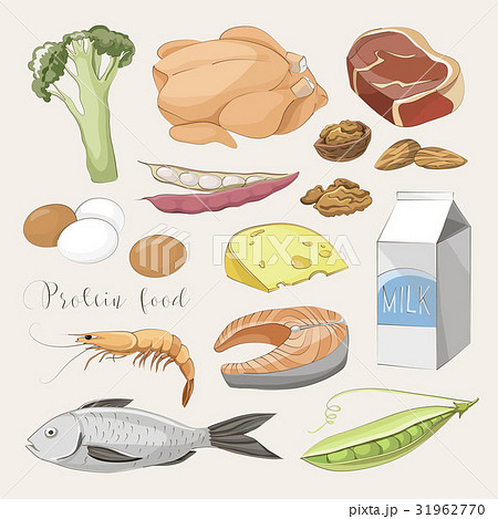 Best protein food icons Best protein food icons 31962770