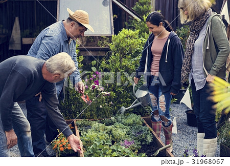 Group of people planting vegetable in greenhouse Group of people planting vegetable in greenhouse 31968067