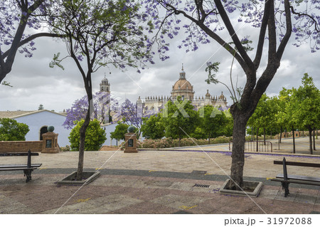 Jerez de la Frontera cathedral view Jerez de la Frontera cathedral view 31972088