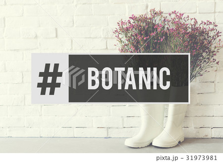 Botanic Flower Bloom Bouquet Fresh 31973981