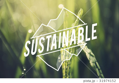 Alternative Farming Sustainable Nature Concept 31974152