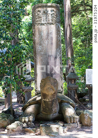 月照寺　大亀 31975104