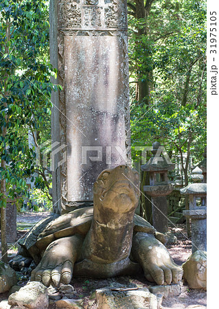 月照寺 大亀 月照寺 大亀 31975105