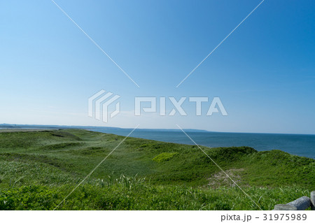 初夏の小清水原生花園とオホーツク海の風景 初夏の小清水原生花園とオホーツク海の風景 31975989