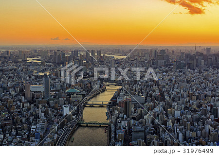 隅田川の夕暮れ/空撮 隅田川の夕暮れ/空撮 31976499