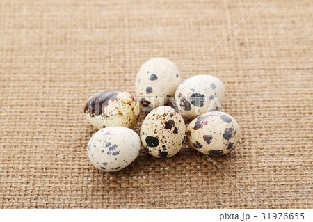 うずら卵 31976655