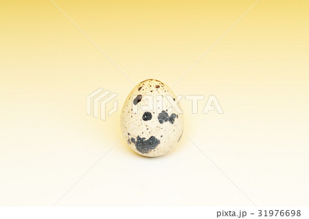 うずら卵 31976698