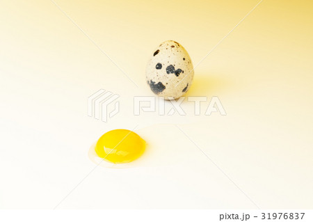うずら卵 うずら卵 31976837
