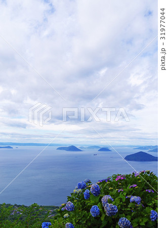 瀬戸内海と紫陽花 31977044