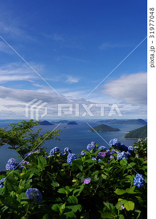 瀬戸内海と紫陽花 31977048