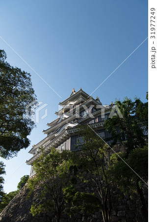 岡山城天守閣を見上げる 31977249
