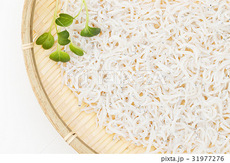 ちりめんじゃこ 31977276