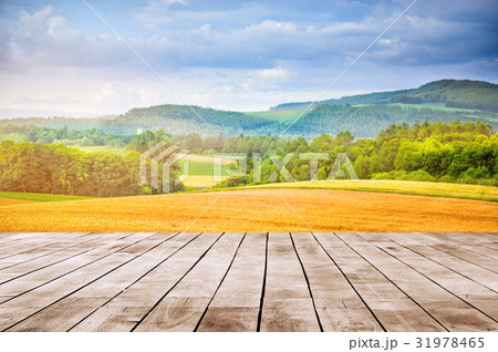 golden wheat field in summer with wood desk 31978465