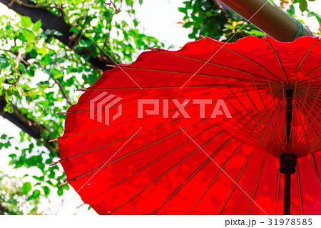 和傘 31978585