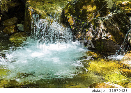 甲武信ヶ岳の千曲川源流 31979423