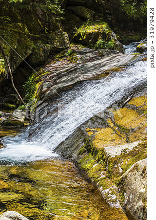 甲武信ヶ岳ナメ滝（一枚岩） 31979428