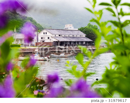 三角西港情景 31979617