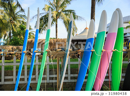 Row of surfboards for rent at seaside surf club 31980438