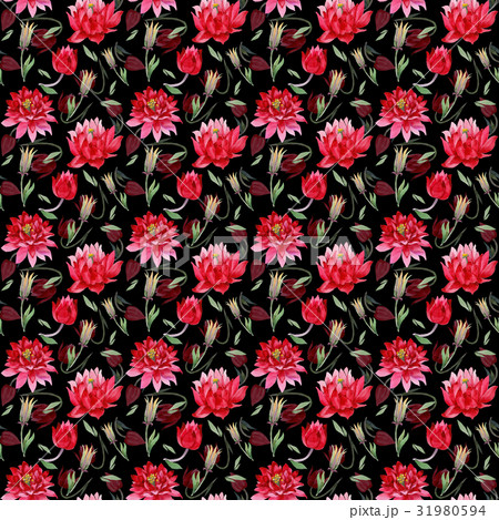Wildflower Aquilegia flower in a watercolor style Wildflower Aquilegia flower in a watercolor style 31980594