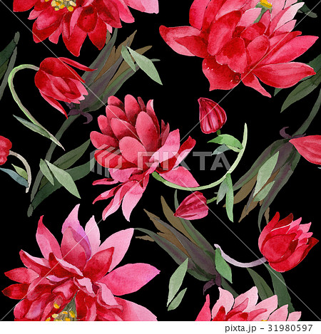 Wildflower Aquilegia flower in a watercolor style Wildflower Aquilegia flower in a watercolor style 31980597