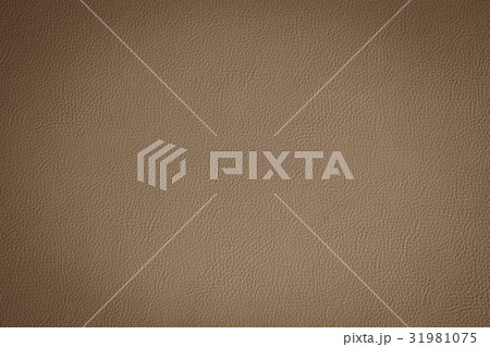 leather texture 31981075