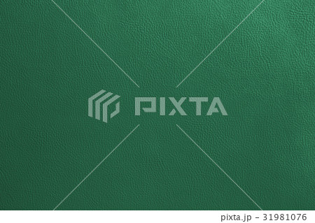 Closeup detail of green leather  31981076