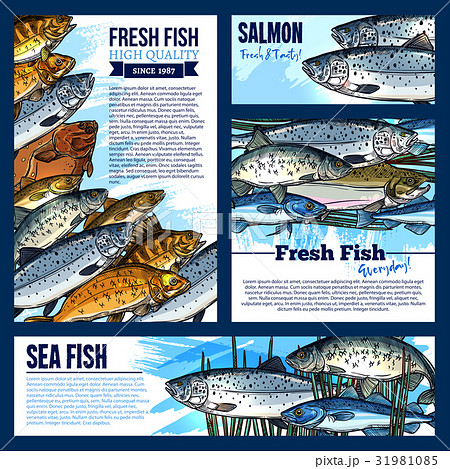 Vector posters or banners for fresh fish market 31981085