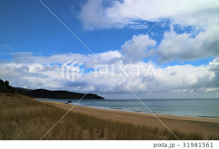 New Zealand　スチュワート島 31981561