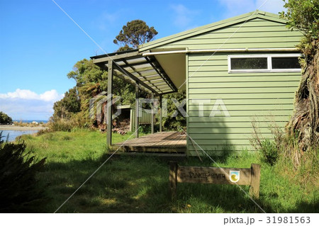 New Zealand　スチュワート島 31981563