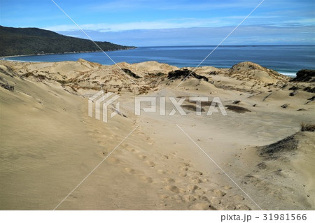 New Zealand　スチュワート島 31981566