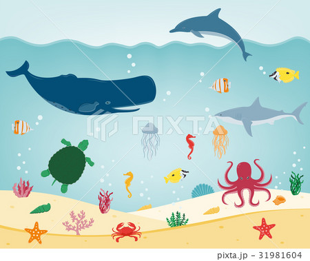 Sea icons and symbols set. Sea animals. Nautical 31981604