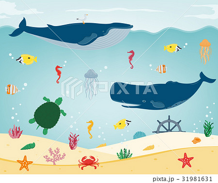 Sea icons and symbols set. Sea animals. Nautical 31981631