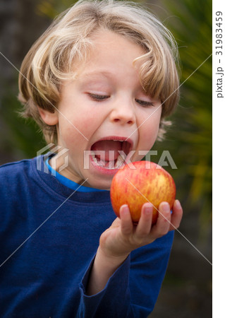 cute 5 year old child eating an apple 31983459