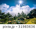 景色 風景 自然 31983636