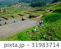 鬼木の棚田と案山子 31983714