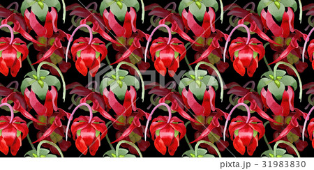 Wildflower Sarracenia flower in a watercolor 31983830