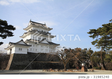 小田原城 天守閣 小田原城 天守閣 31985240