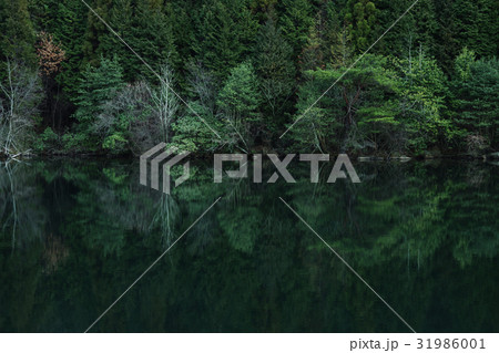 広島県府中市の七ツ池　三番池 31986001