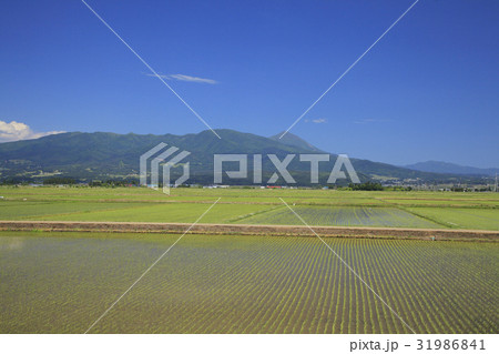 田園風景 31986841