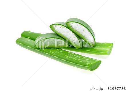Aloe vera isolated on white background 31987788