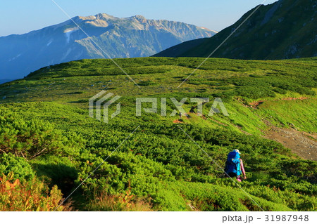 双六岳稜線を行く登山者と薬師岳遠望 31987948