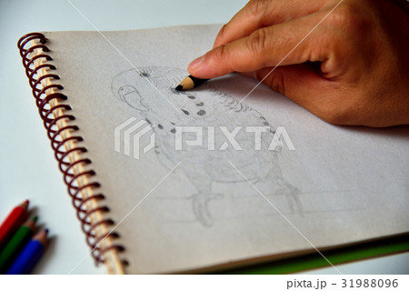 モーション 動き 動向 31988096