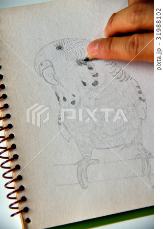 モーション 動き 動向 31988102