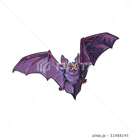 Scary Flying Bat With Wide Spread Wings のイラスト素材