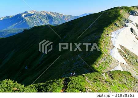 双六岳・三俣蓮華岳稜線を行く登山者と薬師岳遠望 31988363